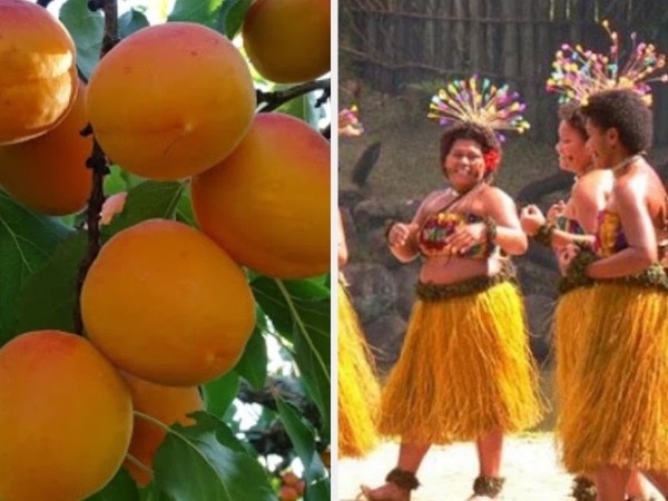 Fiji là quốc gia duy nhất không có bệnh nhân mắc ung thư: 3 lý do khiến người dân không mắc ung thư rất đáng học hỏi