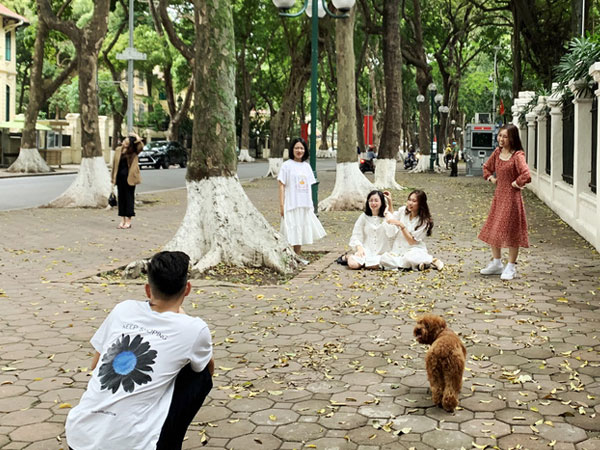Hà Nội: Người dân đổ đến đường Phan Đình Phùng thả dáng với mùa sấu rụng lá
