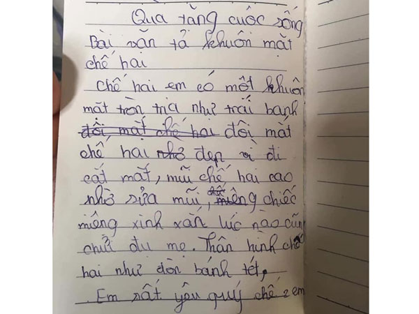 Cô giáo giao làm văn tả chị gái, cậu em hồn nhiên 'khai' đủ tật xấu của chị 'không chừa miếng nào'