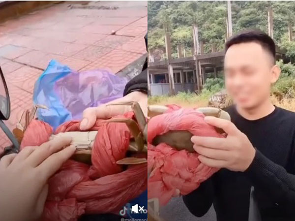 Bóc mẽ cua biển Đồ Sơn bị cột dây 'gian lận' nhưng nhóm bạn trẻ lại khiến không ít người phẫn nộ vì hành động kém duyên với người dân