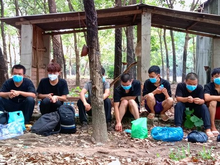 Bị phát hiện nhập cảnh trái phép, 9 người Trung Quốc trốn vào vườn điều