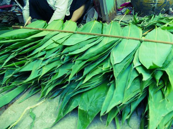 Thứ lá bỏ đi rụng đầy bờ rào quê, xuất bán nước ngoài thu bộn tiền