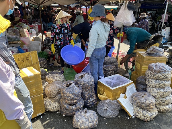 Du khách đổ về Bà Rịa - Vũng Tàu ăn hải sản, giá cả tăng vọt