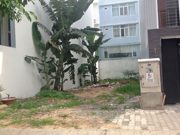 Vốn 200 triệu: Vợ chồng trẻ giữ được mảnh đất 100m2 mà tiền vẫn đẻ ra tiền