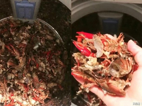 Rửa tôm bằng máy giặt vì xem hướng dẫn trên mạng, kết quả khiến người phụ nữ không dám tin vào mắt mình