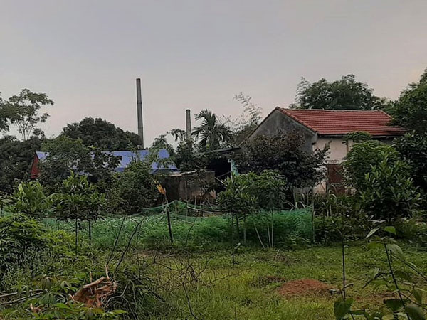 Can ngăn đánh nhau, chú bị cháu ruột nổ súng bắn chết