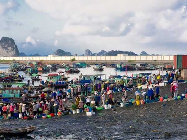 Tiểu thương đi thăm người ốm, Quảng Ninh đóng cửa cả chợ