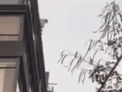 Clip: Nhảy từ tầng thượng của khách sạn trung tâm Hà Nội, nam thanh niên tử vong tại chỗ trước sự bàng hoàng của người dân
