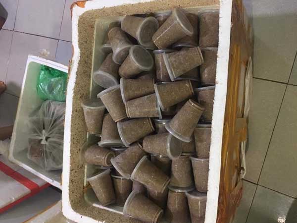Cua đá, cua đồng xay sẵn đông lạnh bán la liệt, giá rẻ đáng sợ
