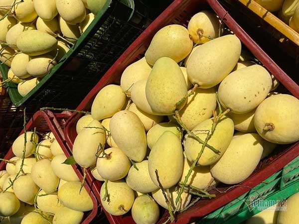 Trung Quốc ‘ăn hàng’, đặc sản Việt tăng giá kỷ lục