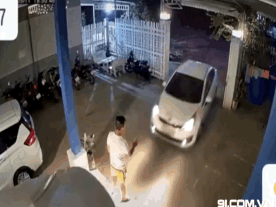 Video: Đạp nhầm chân ga, tài xế húc thẳng vào thanh niên lơ xe