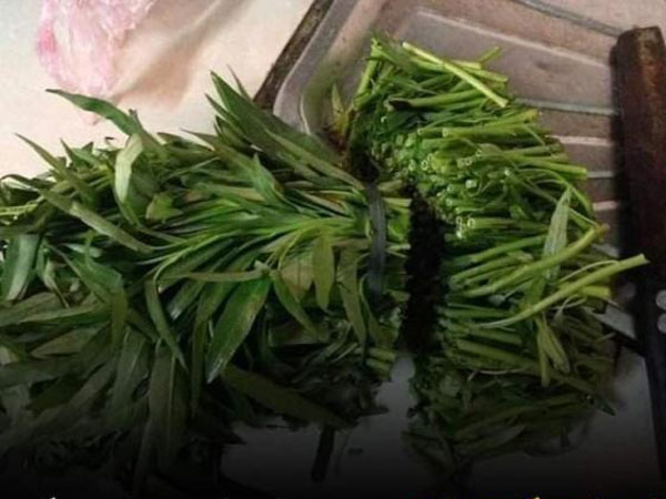 Lần đầu trổ tài vào bếp khi về ra mắt, cô gái dùng dao thái mớ rau muống một đường cho nhanh, mẹ chồng mặt tái mét đuổi khéo