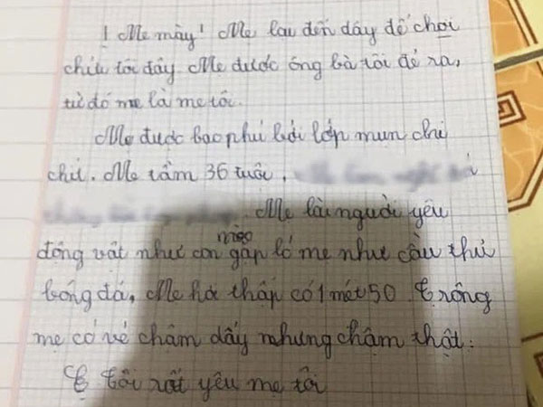 Bài văn tả mẹ đọc xong chỉ muốn 'đánh đòn': Mẹ chậm thật, mụn chi chít, câu cuối 'quay xe' 180 độ siêu lầy