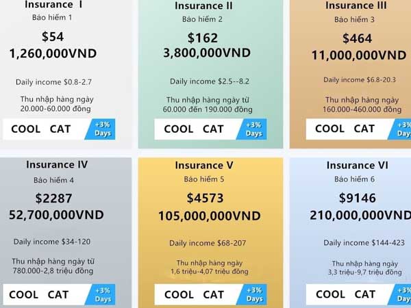 Nhảy vào sàn ảo Coolcat, tham giàu nhanh mất đứt sổ đỏ 5 căn nhà