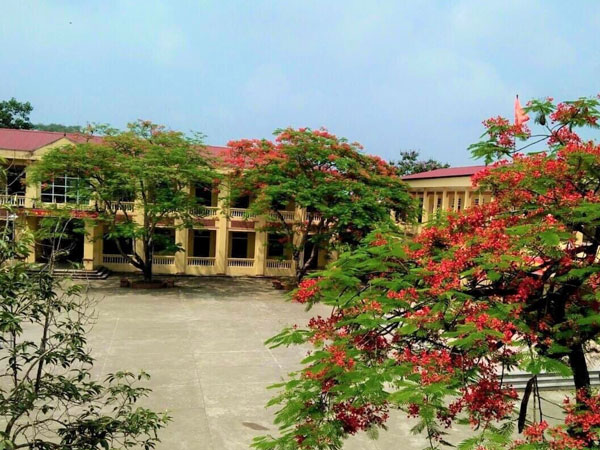 Hoa phượng nở rực rỡ nhưng sân trường vắng bóng học trò