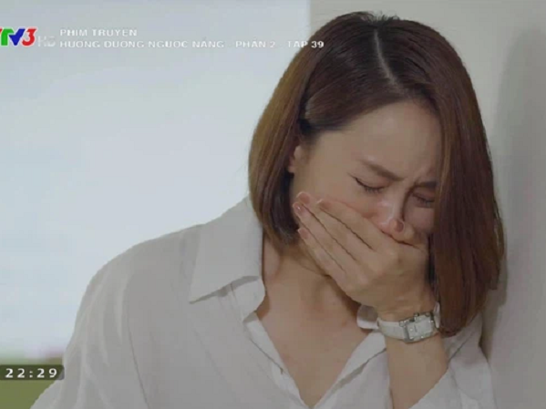 Hướng dương ngược nắng: MXH 'nổ tung' vì Kiên - Châu, Hồng Diễm diễn xuất sắc khiến khán giả khóc một dòng sông