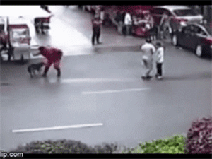 Video: Chó Pitbull điên cuồng tấn công nhiều người trên phố