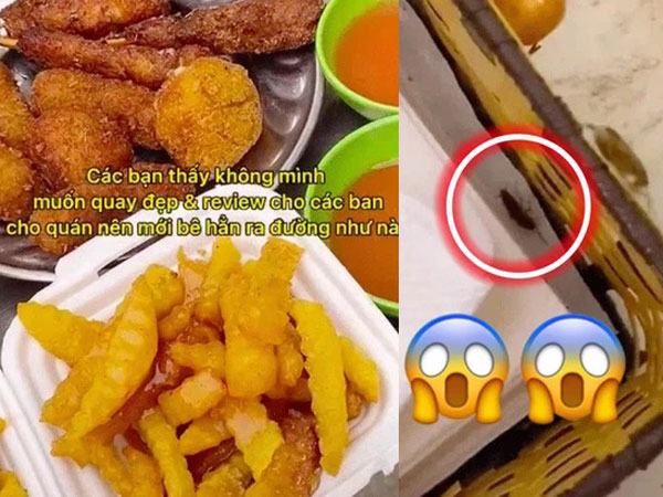 Gặp cả đàn gián bò trong hộp khăn giấy, Food Blogger gọi chủ quán ra hỏi thì được phán cho 1 câu: Nó có bò vào đồ ăn đâu?