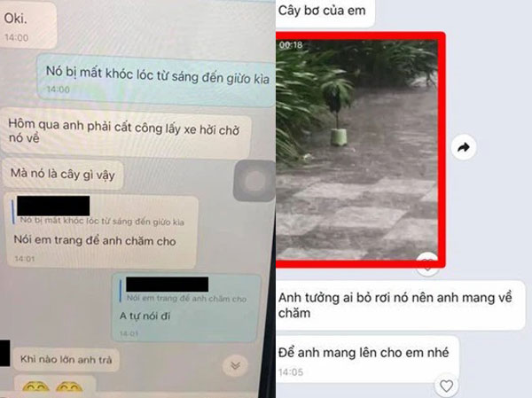Khóc hết nước mắt vì mất cây bơ, cô gái bất ngờ khi biết danh tính kẻ 'cắp'