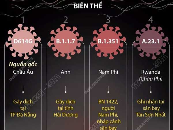 Đánh giá biểu hiện nặng và mức độ tử vong của biến chủng SARS-CoV-2 mới