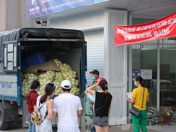 Người dân thủ đô chung tay giúp bà con Bắc Giang tiêu thụ dưa lê