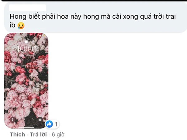 Trò mới hot hit của Gen Z: Cài ảnh hoa mẫu đơn làm hình nền điện thoại để... mau có bồ