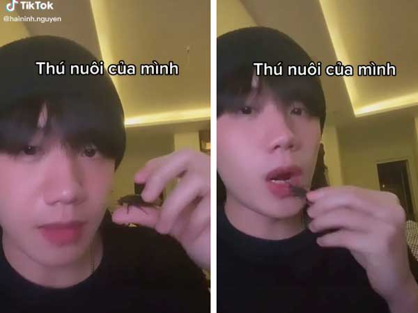 Thực hư chuyện TikToker gần 1 triệu followers quay clip ăn gián khiến người xem kinh hãi