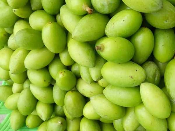 Trám non đầu mùa 50 nghìn/kg, mua về muối ăn dè mùa dịch