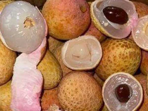 Vải thiều Việt sang Singapore, giá bán khuyến mại 105.000 đồng/kg