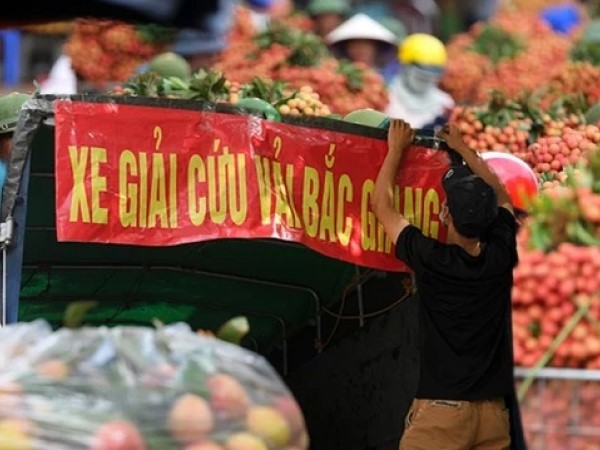 Cú điện thoại nửa đêm của lãnh đạo Bắc Giang, 'ông' lái xe được bảo vệ hơn đại gia và cam kết của 'vua vải' với thương nhân Trung Quốc