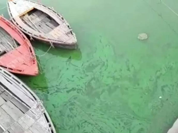 Sông Hằng chuyển màu xanh bất thường, dân Ấn Độ phát hoảng
