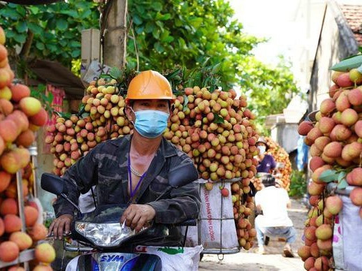 Ưu tiên tiêm vắc xin cho các lái xe, thương lái thu mua nông sản
