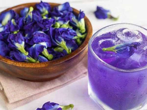 Trong hoa đậu biếc có 2 bộ phận chứa độc tố có thể gây ngộ độc, nhiều gia đình vẫn chưa biết để dùng cho đúng