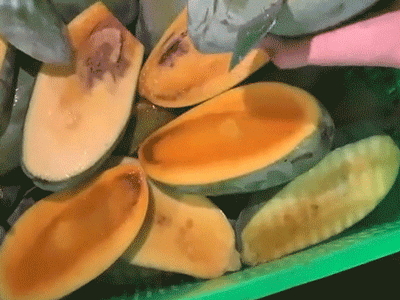 Mua cả chục kg xoài mà quả nào cũng thối hết dù bên ngoài rất 'đẹp mã', dân mạng thi nhau tranh cãi về lý do thật sự phía sau