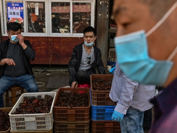 Tiết lộ sốc về chợ Vũ Hán: Manh mối quan trọng nhất về nguồn gốc đại dịch Covid-19?