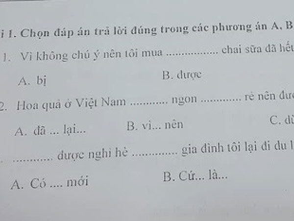 Sang chấn tâm lý với bài thi năng lực tiếng Việt ở Nhật, toàn ngữ pháp khó, đến người Việt đôi khi cũng xin bó tay