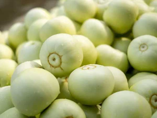 Ăn dưa lê nếu biết 3 điều này sẽ cực tốt cho sức khỏe, bạn nhất định phải biết để tránh ngộ độc