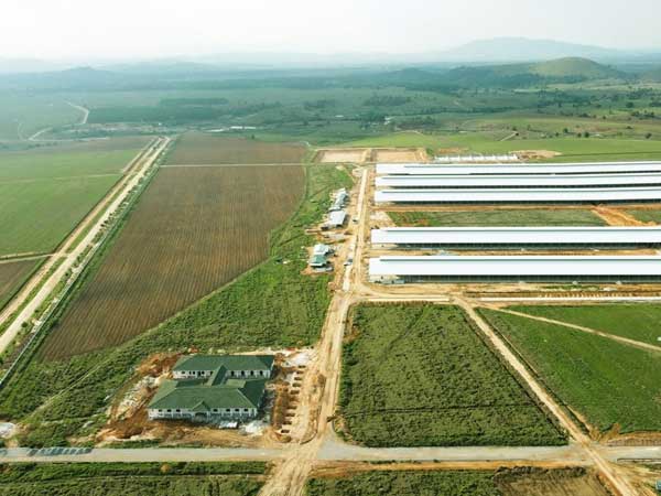 Siêu dự án trang trại của Vinamilk tại Lào sẽ 'cho sữa' vào đầu 2022