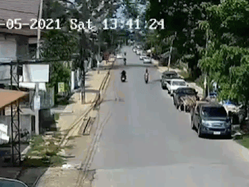 Video: Cây cổ thụ 300 tuổi quật ngã xe máy sau bão