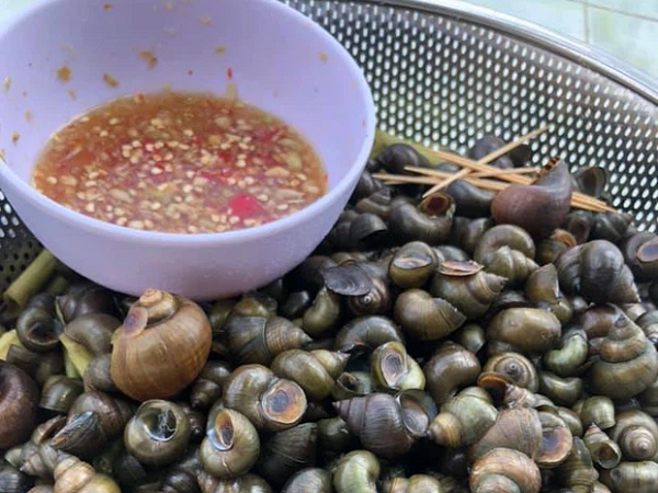 Cô nàng khiến dân mạng rùng mình vì cách 'thu hoạch' ốc ở quê nhà, nhưng ai cũng thay đổi sắc thái 180 độ khi thấy kết quả cuối cùng