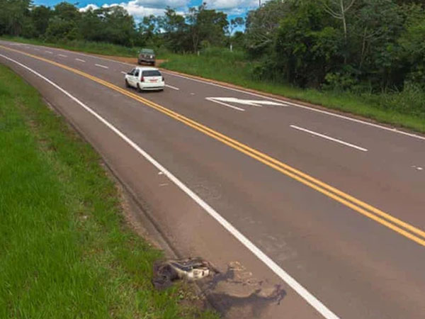 Con đường chết chóc nhất: Mỗi năm 3000 xác chết tại 'xa lộ tử thần' của Brazil, cái giá quá đắt mà thiên nhiên phải trả vì con người