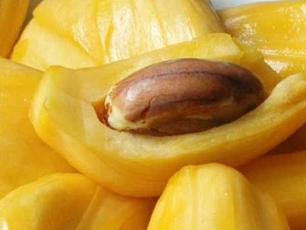 Bộ phận siêu quý giá của quả mít: Phụ nữ ăn vào chống lão hoá, giúp chồng 'sung mãn' đến bất ngờ nhưng người Việt thường tiện tay ném bỏ