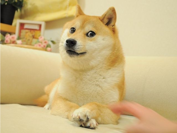 Một ai đó vừa chi ra 92 tỷ đồng để sở hữu meme huyền thoại nhất trong lịch sử Internet