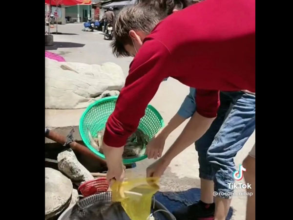 Đi mua tôm sợ bị đọng nước làm tăng cân, thanh niên nghĩ ra mẹo đặc biệt khiến người bán tôm chỉ muốn khóc thét