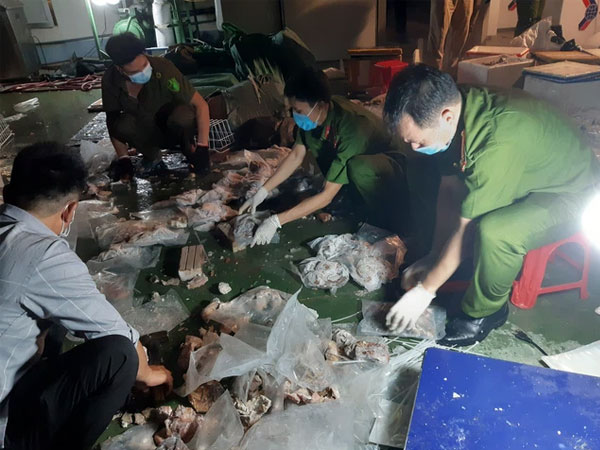 Cảnh sát đột kích phá chuyên án hơn 500kg ma túy giấu trong dạ dày lợn, mô tơ điện