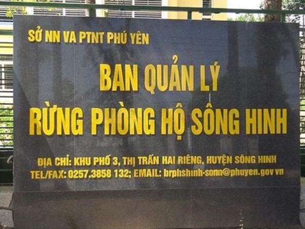 Phục hồi vụ án 'tham ô', khởi tố 1 cựu phó giám đốc ban quản lý rừng phòng hộ