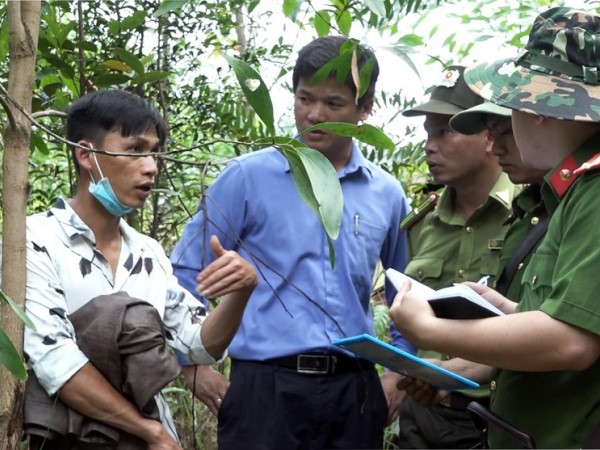 Nhân viên giữ rừng cầm đầu đường dây khai thác gỗ quý trái phép