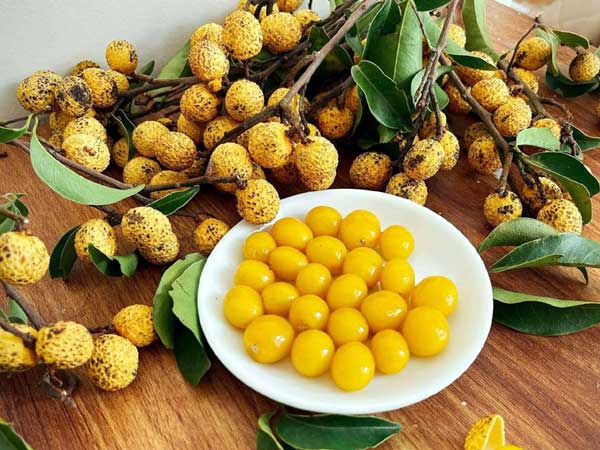 Nhãn rừng mọc trên núi đá, muốn ăn đặt trước cả tuần may ra mới có