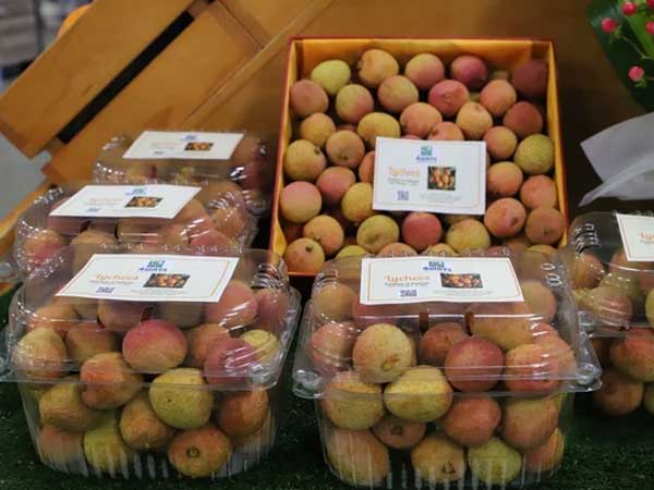 Vải tươi Việt Nam được đấu giá lên tới gần 53 triệu đồng/kg tại Australia