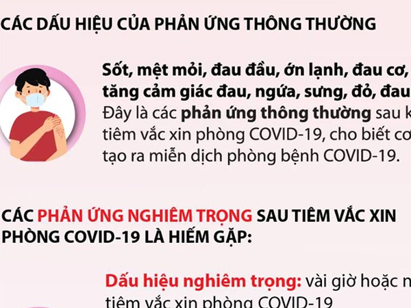 Infographic: Những dấu hiệu nhận biết phản ứng thông thường và nghiêm trọng sau tiêm vắc-xin Covid-19
